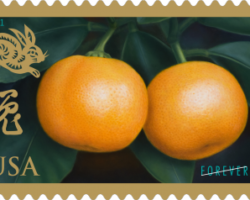 YEAR OF THE RABBIT (2011, Issued by USPS)