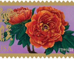 YEAR OF THE MONKEY (2016, Issued by USPS)