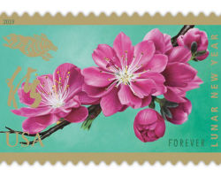 2019 Lunar New Year: Year of the Pig stamp from the U.S. Postal Service